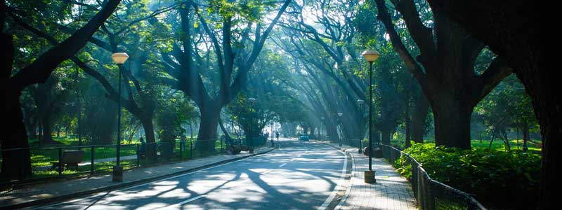 Places to Visit Cubbon Park, Bangalore