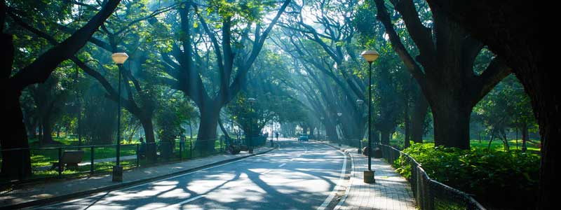 Cubbon Park Bengaluru