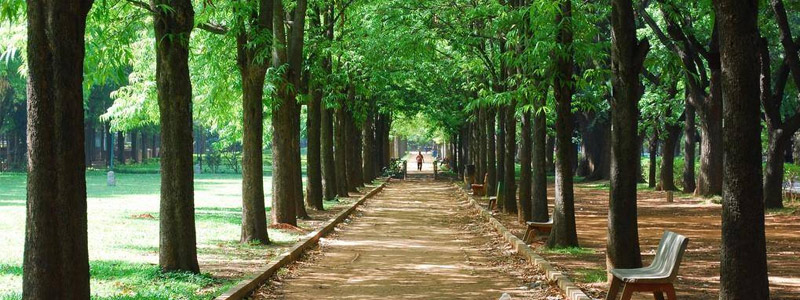 Cubbon Park Bangalore