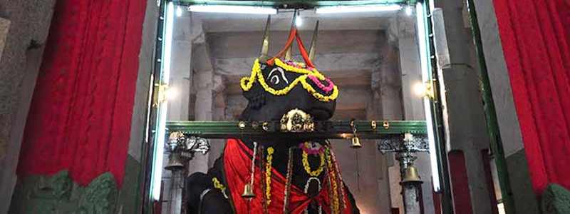 Bull Temple Bangalore