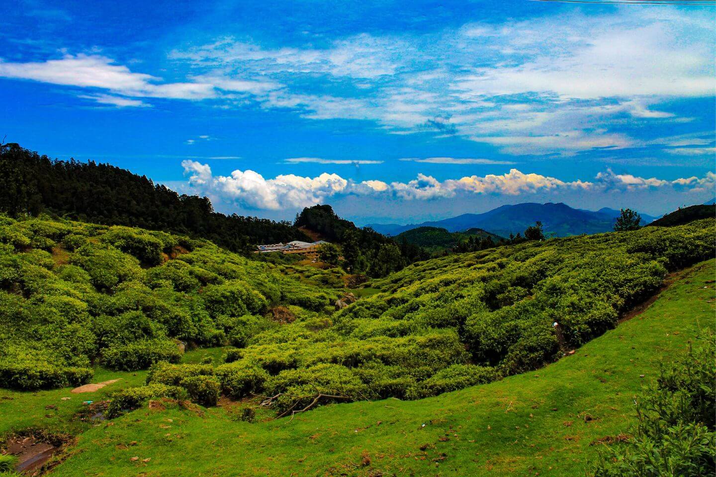 tourist places between bangalore to ooty