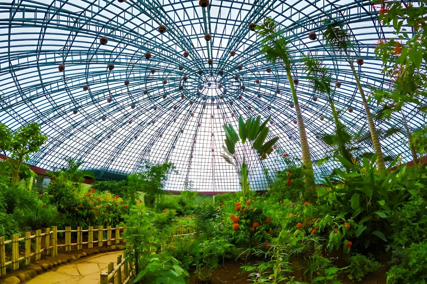 Bannerghatta National Park Bangalore 