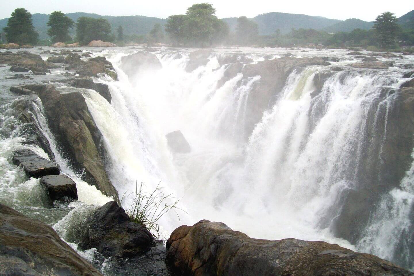 3 Best Bangalore to Hogenakkal Waterfalls Car Rentals Services