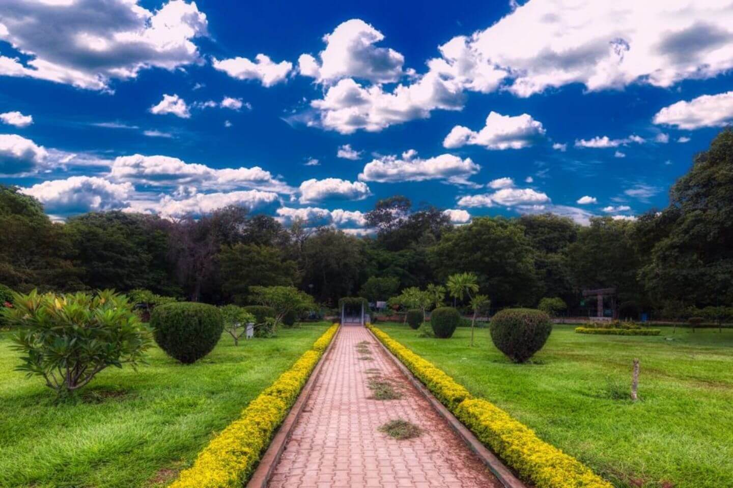 Cubbon Park, Bangalore Tourist Attraction