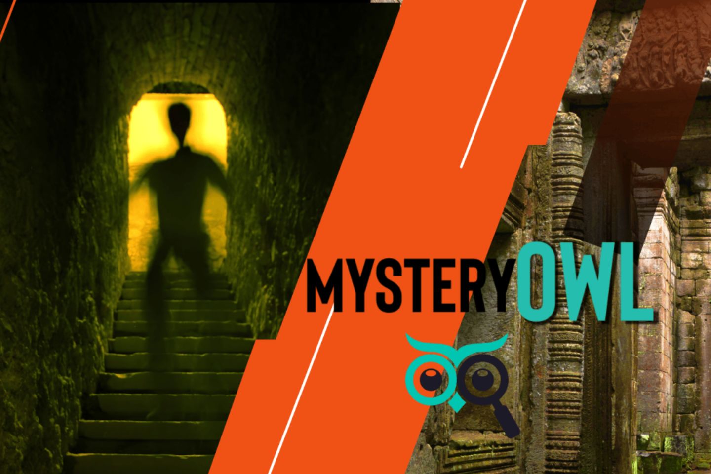 Mystery Owl Escape Rooms