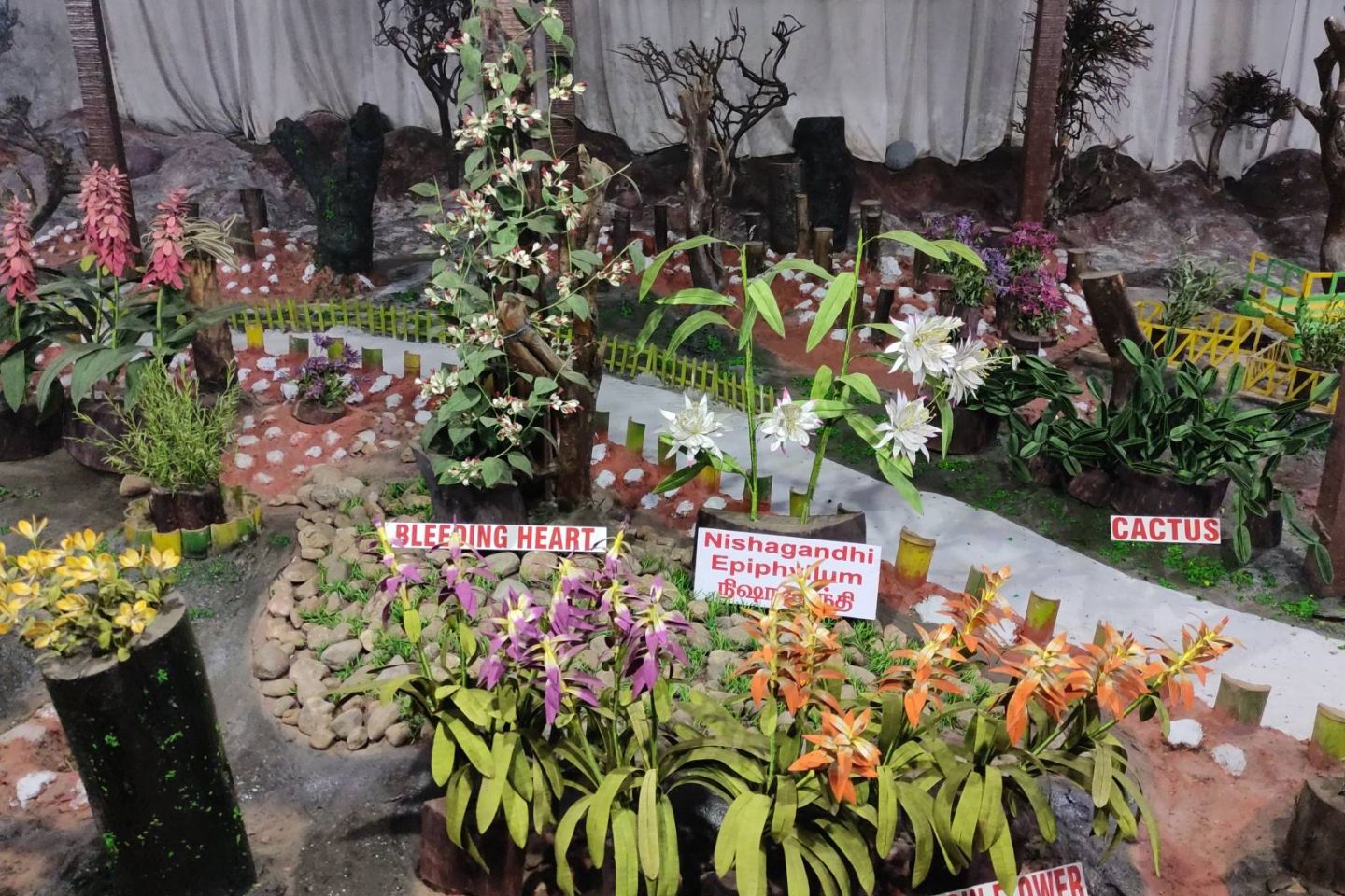 The Thread Garden, Ooty