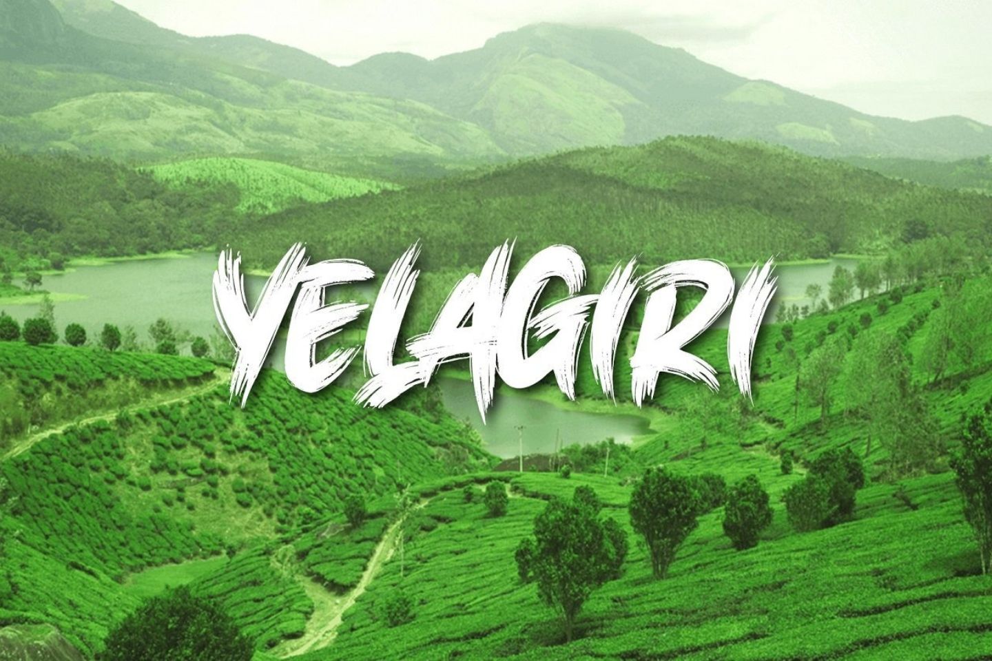 Yelagiri Hills