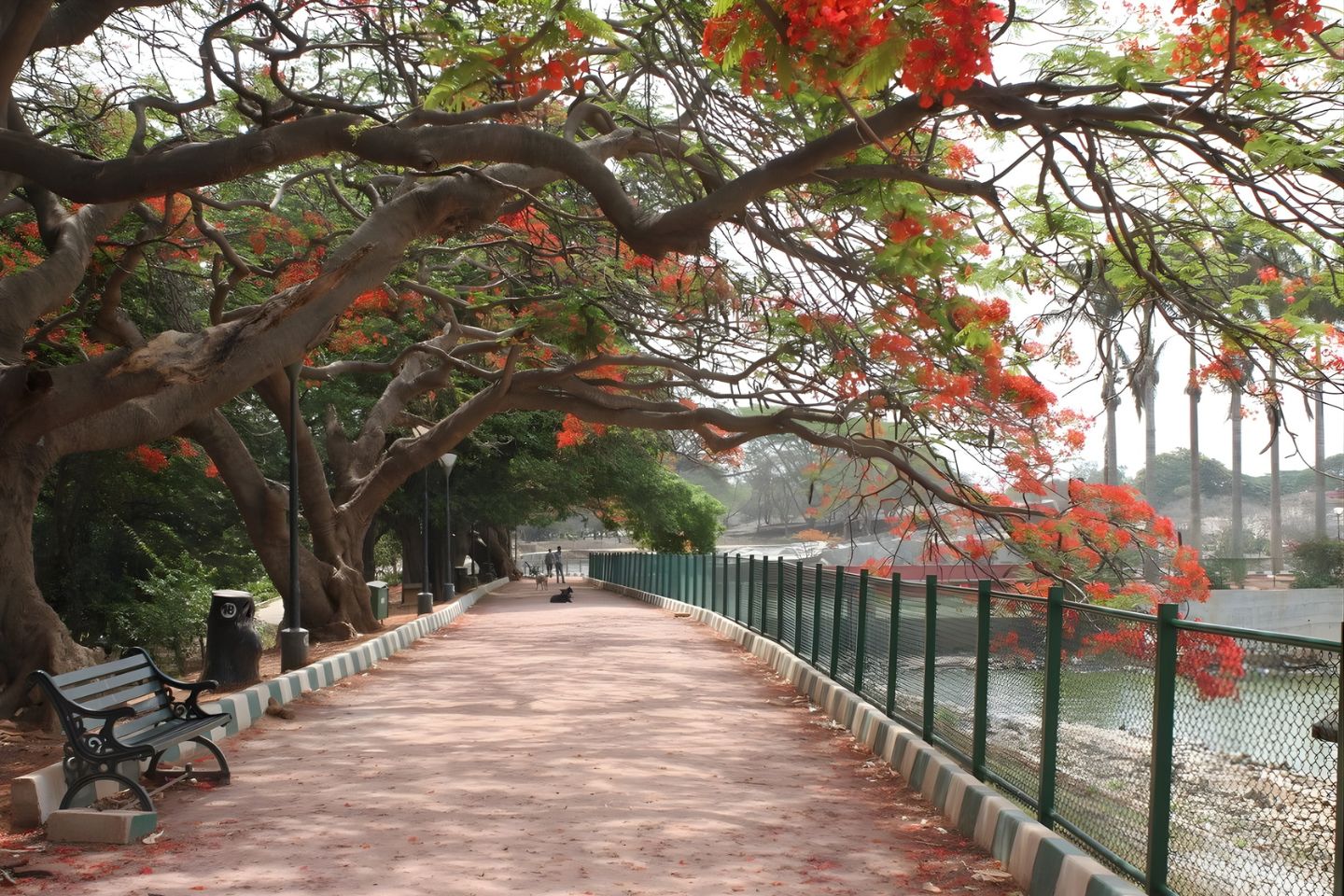 Amusement and Theme Parks in Bangalore