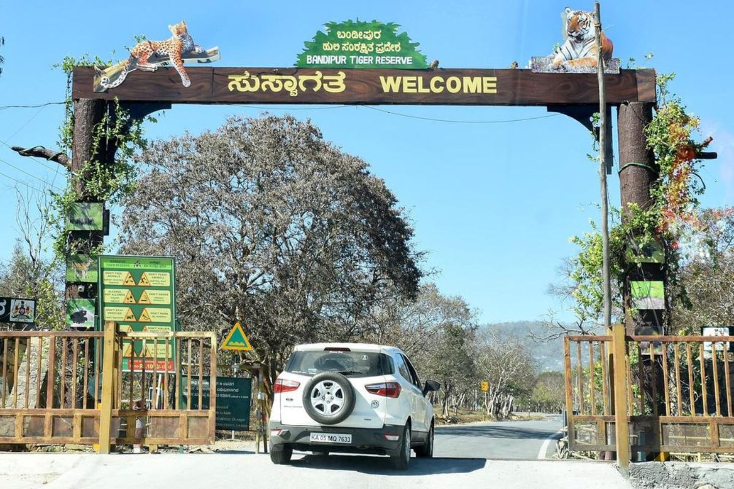 Bandipur & Mudumalai National Parks | 215 km from Bangalore