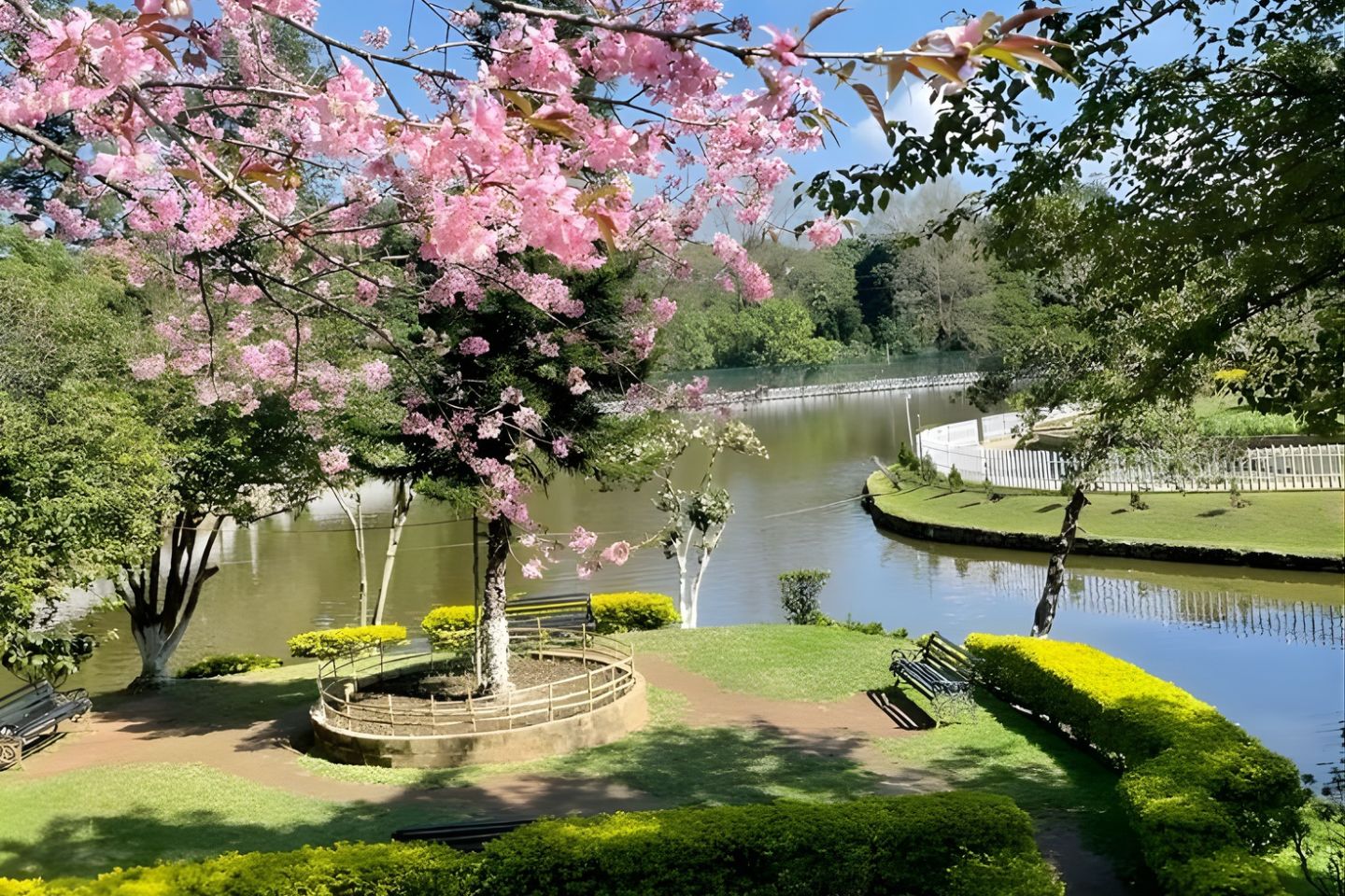 Bangalore Mysore Wayanad Packages