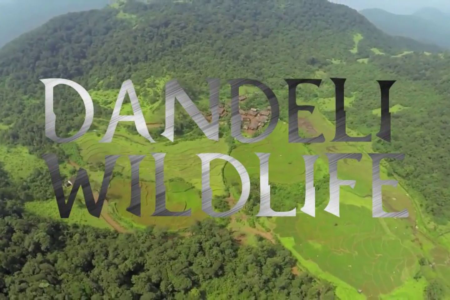 Dandeli Wildlife Sanctuary | 475 km from Bangalore