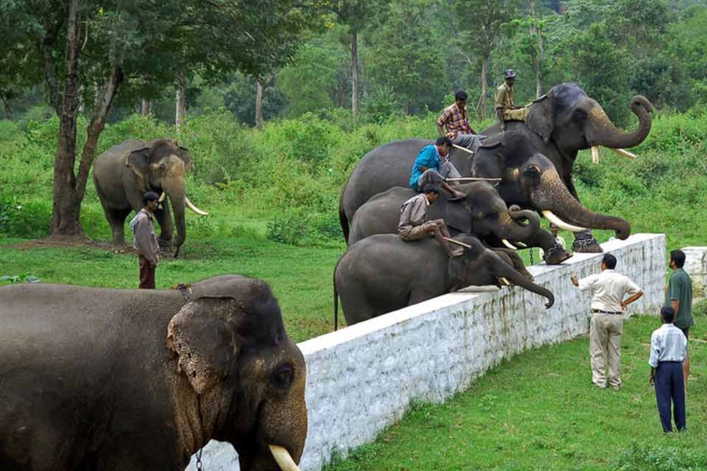 Dubare | Weekend Getaway Break from Bangalore