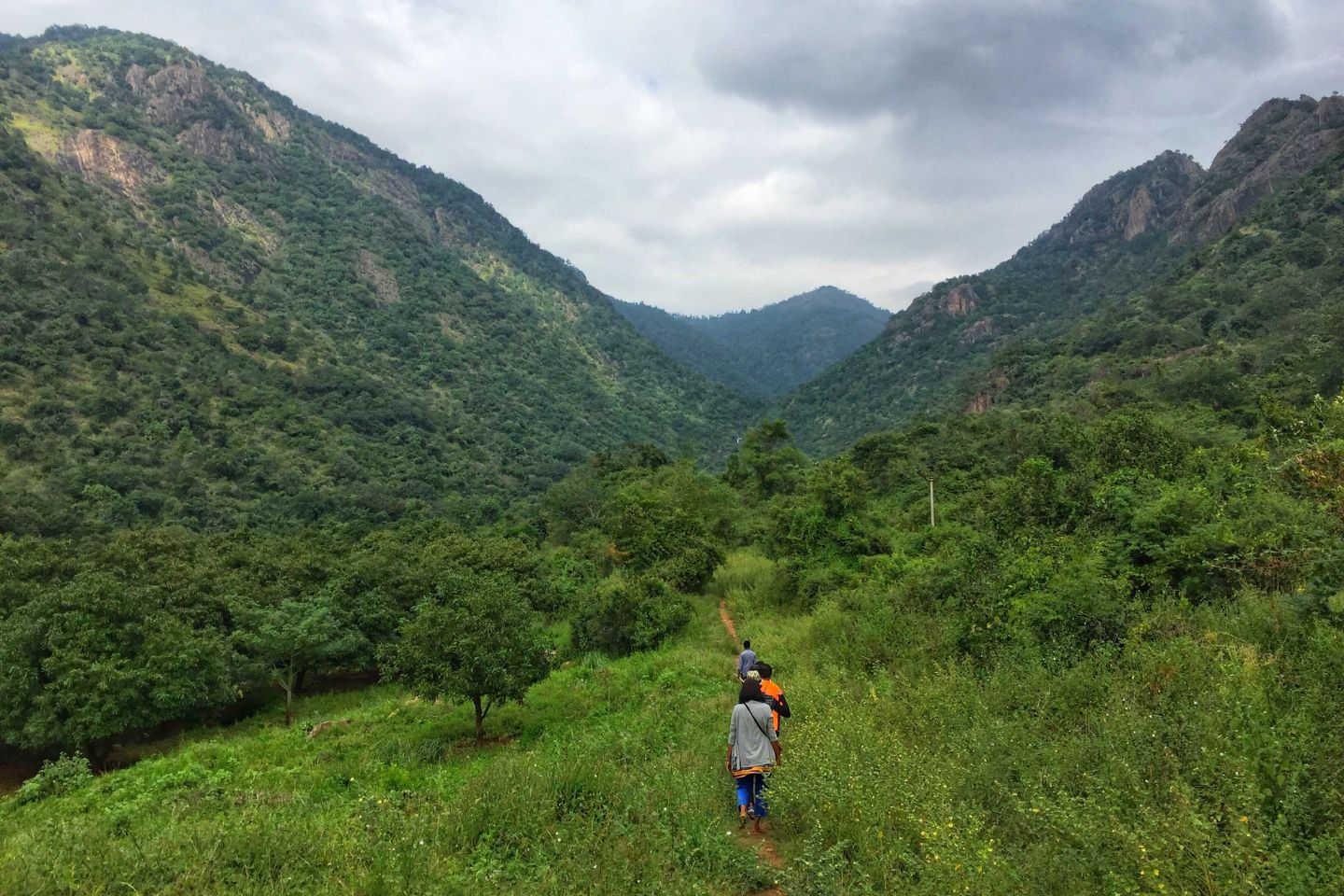 Kamarajar Valley | 369 km from Bangalore