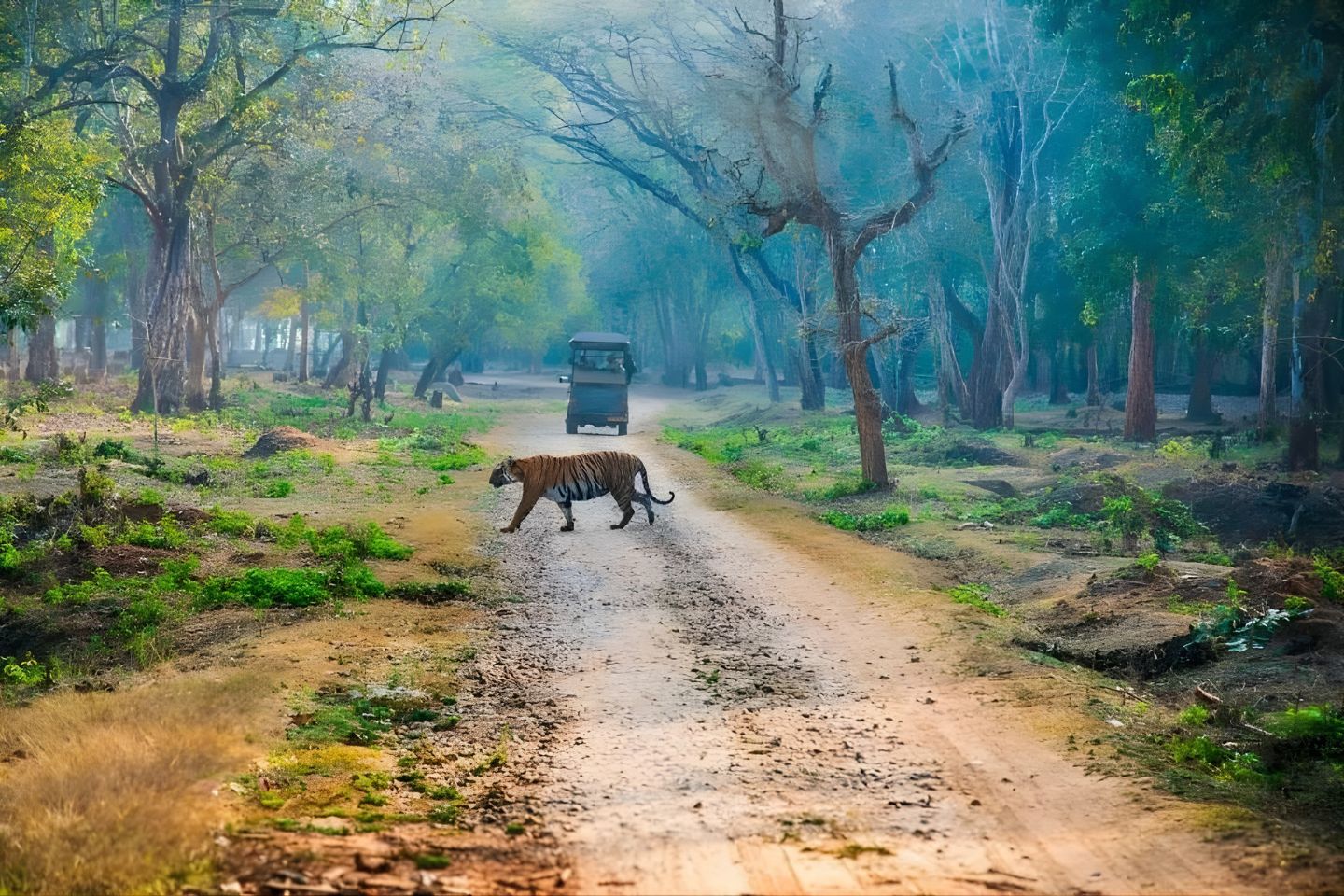 Nagarhole National Park | Weekend Getaway Break from Bangalore