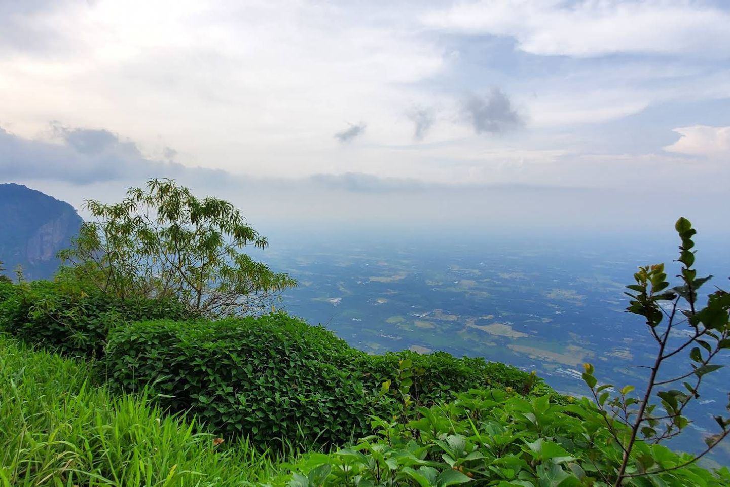 Nelliyampathy | 446 km from Bangalore