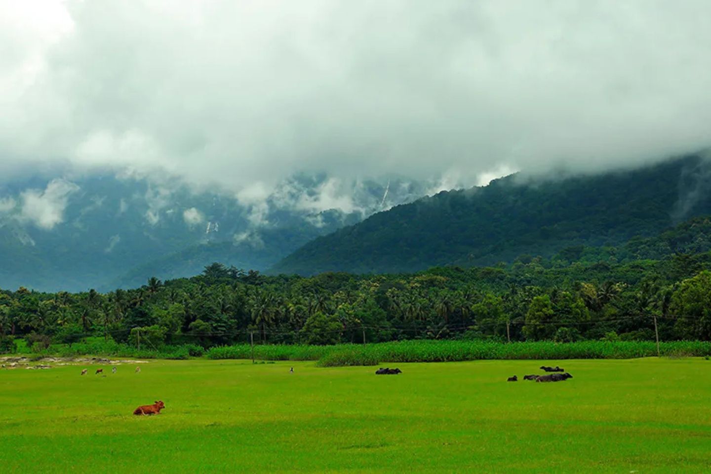 Palakkad | 394 km from Bangalore