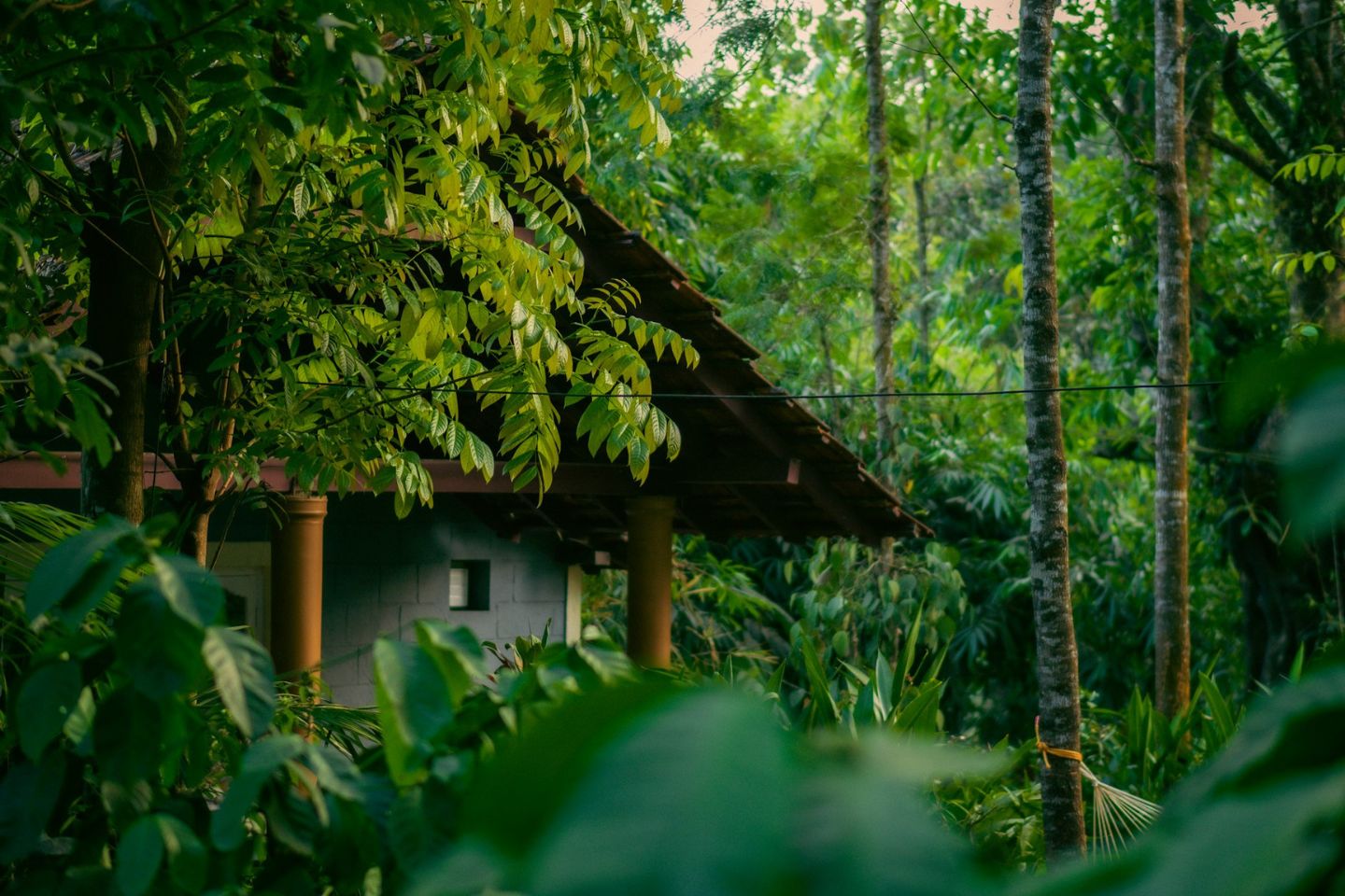 5 Days Ravishing Bangalore Mysore Coorg Tour Package