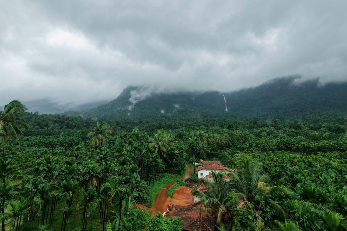 5 Days Relaxing Bangalore Coorg Wayanad Tour Package