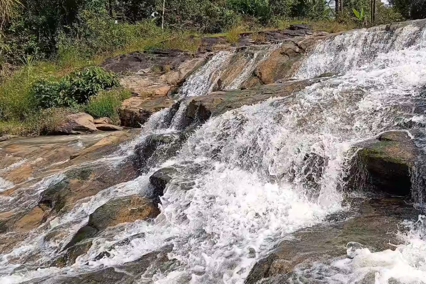 Siddapur | 226 km from Bangalore