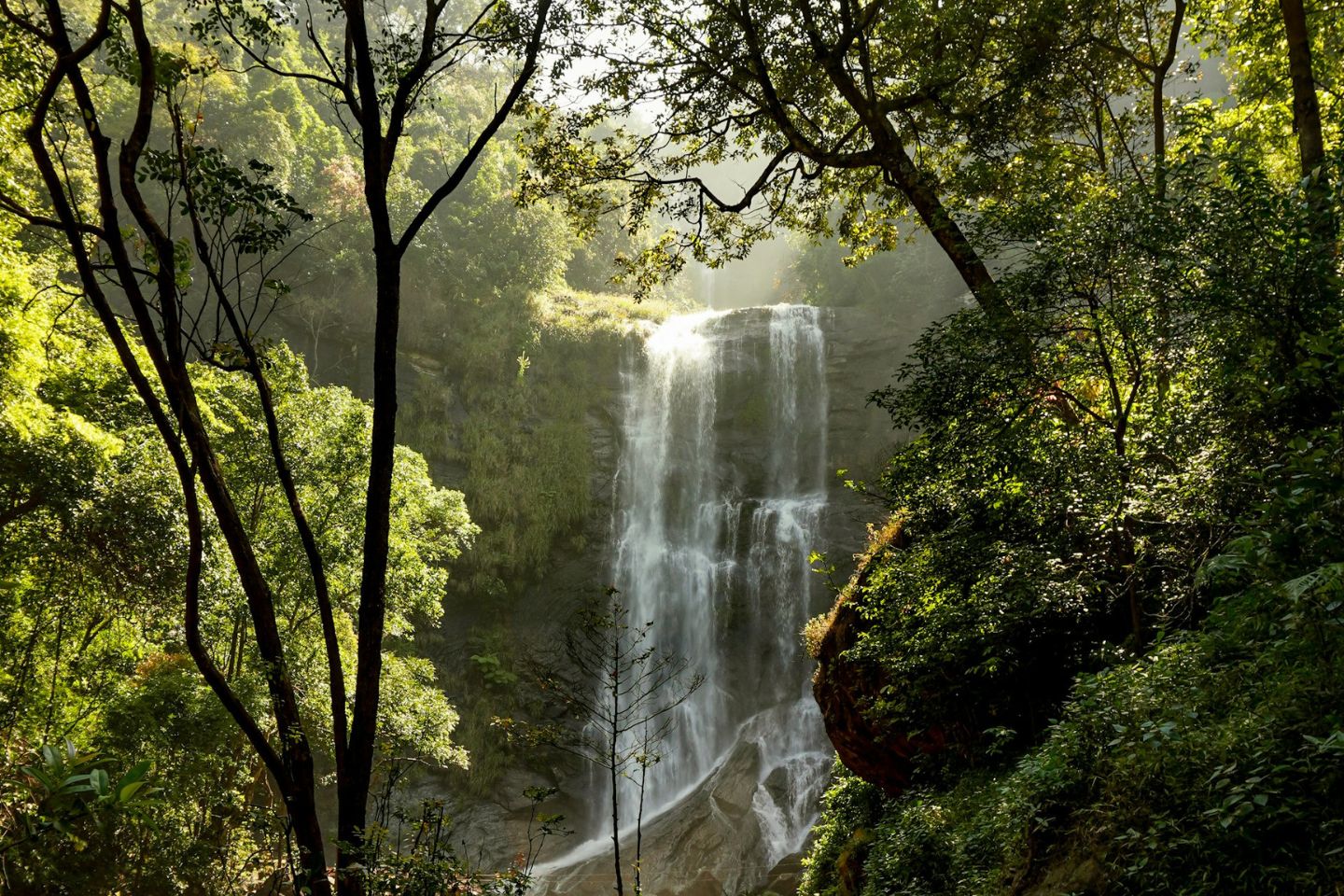 5 Days Unwind Bangalore Coorg Chikmagalur Tour Package