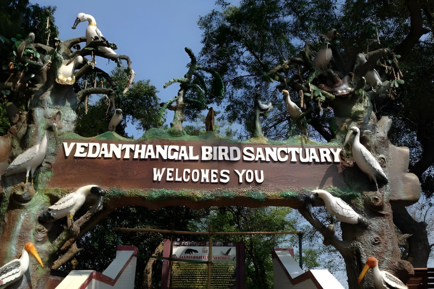 Vedanthangal Bird Sanctuary | Weekend Getaway Break from Bangalore