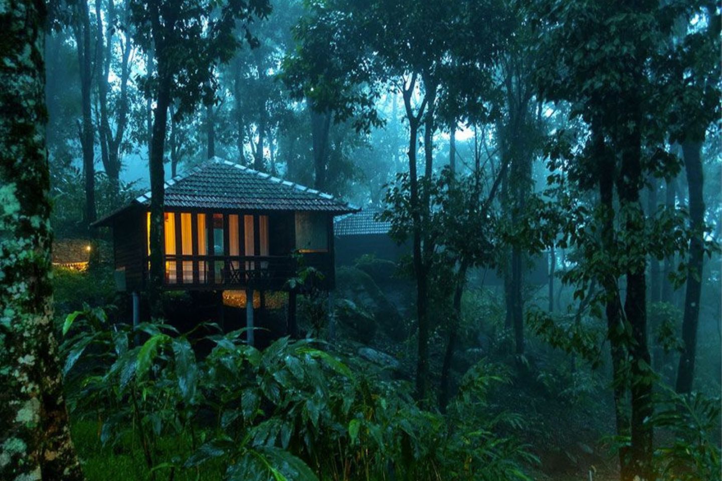 Wayanad | 280 km from Bangalore